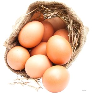 Eggs