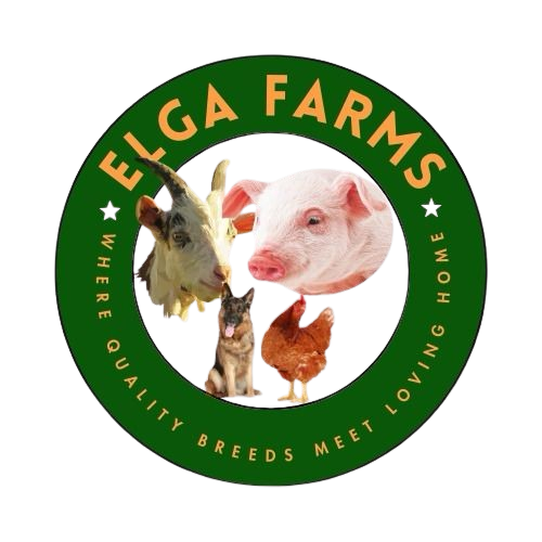 Elga%20Farms